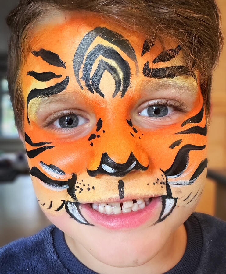 Tiger face paint design for festivals